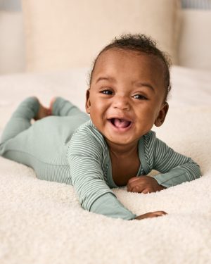 Willow Stripe Crescent Zippy