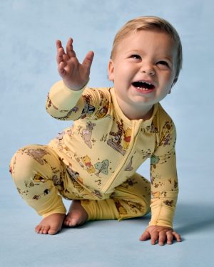 Disney Playtime With Pooh Zippy