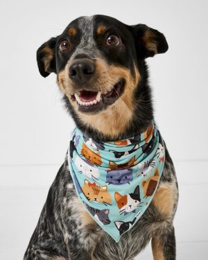 Purrfect Pals Pet Bandana