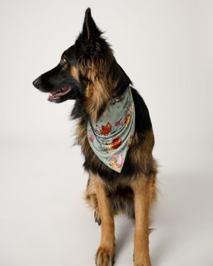 Simba's Safari Pet Bandana